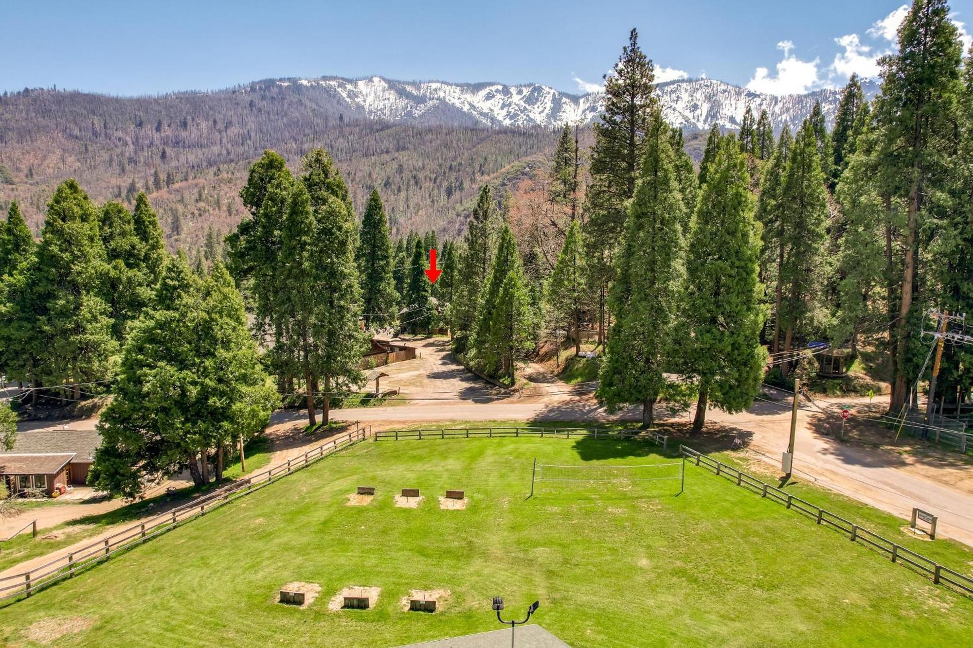 Camp Nelson Lodge Room 10 Ponderosa المظهر الخارجي الصورة